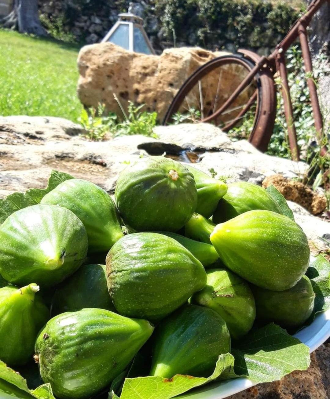 فيلا Giardini Di Marzo Felline المظهر الخارجي الصورة
